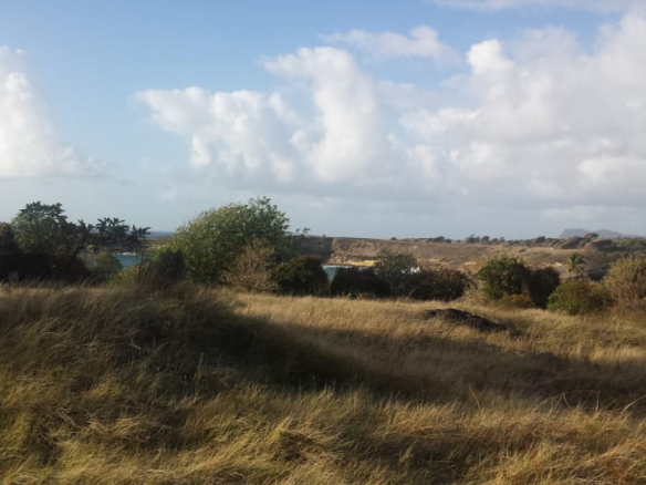 Land for sale in St. Lucia
