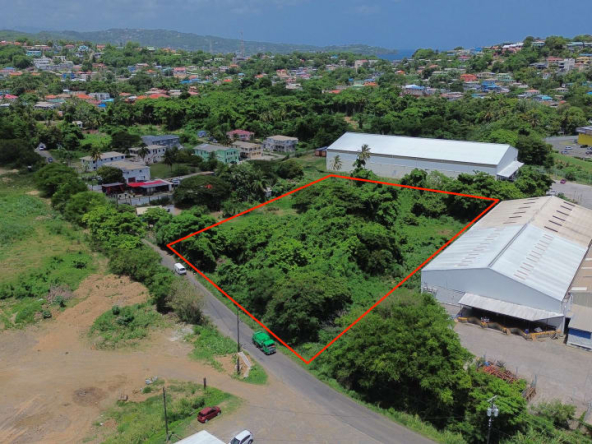 Bois D’Orange Lot No 565