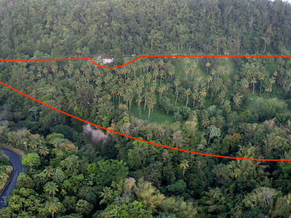 Land For Sale in Choiseul