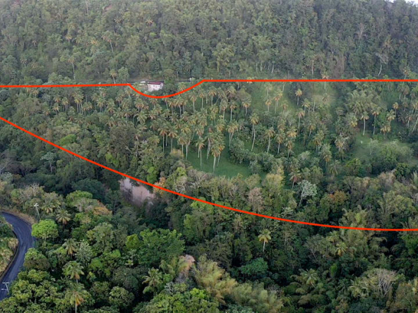 Land For Sale in Choiseul