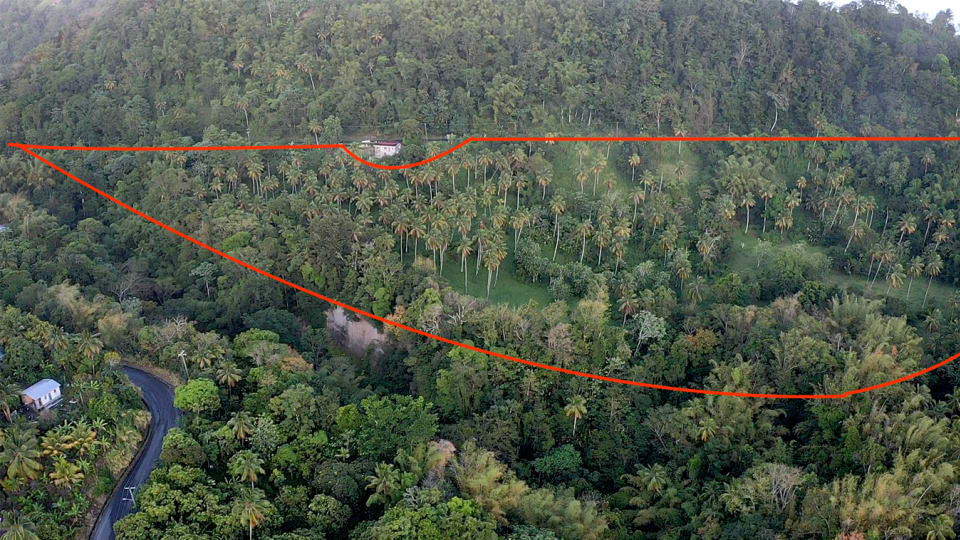 Land For Sale in Choiseul