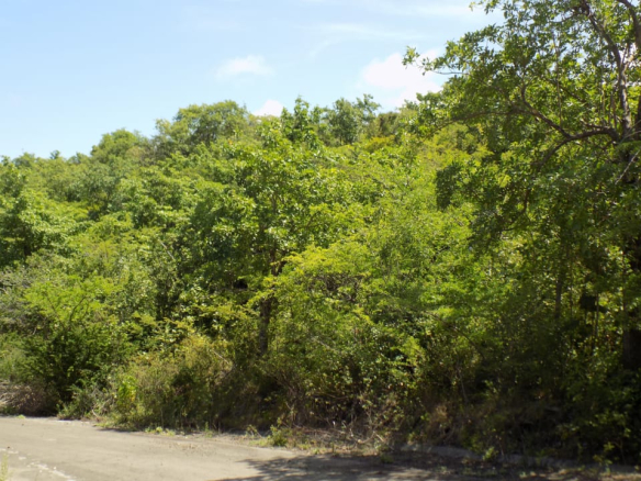 Land for sale in Cap Estate