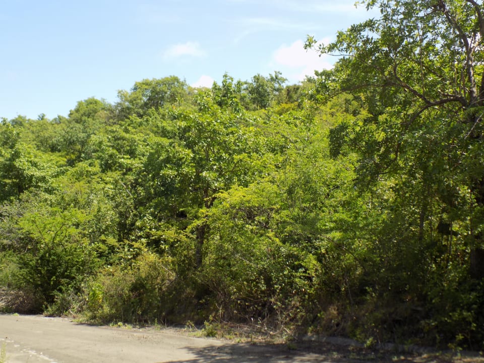Land for sale in Cap Estate