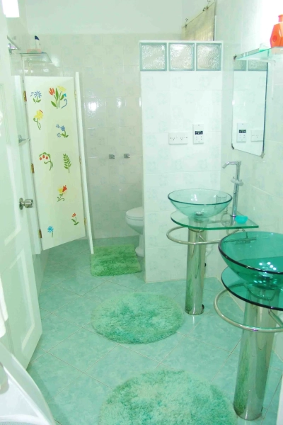 St. Lucia Real Estate Sea View Villa in Castries glass sinks