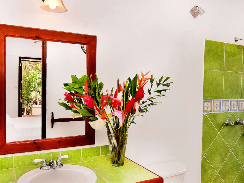 St. Lucia Real Estate Cliffside Oceanview Estate bathroom with large mirror and green tiles